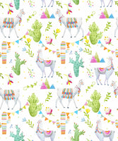 DIY Birthday Cracker Kit - Lamas & Cactuses