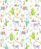 DIY Birthday Cracker Kit - Lamas & Cactuses
