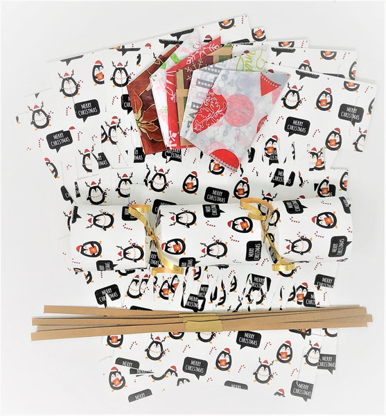 Christmas Cracker DIY kit with Penquins
